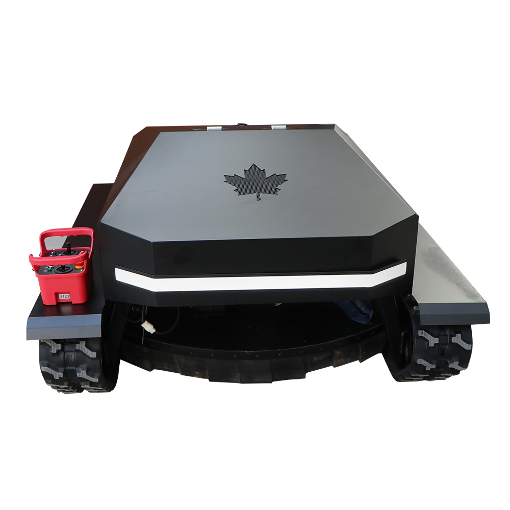 Tondeuse à gazon polyvalente