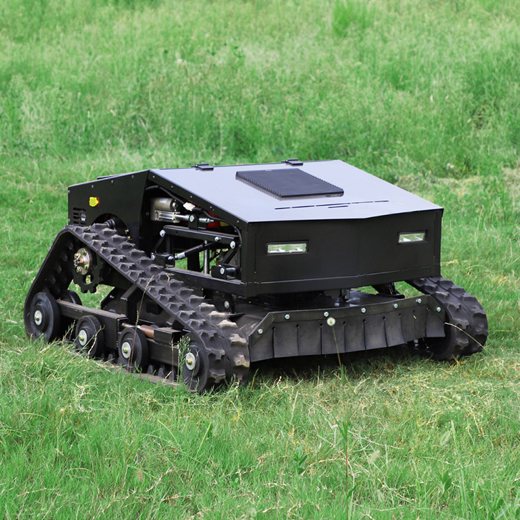 Tondeuse à gazon à essence