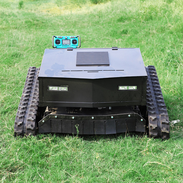 Tondeuse à gazon à essence