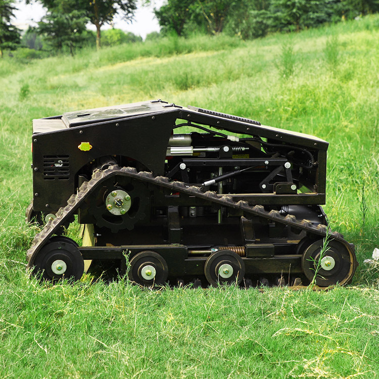 Tondeuse à gazon à essence