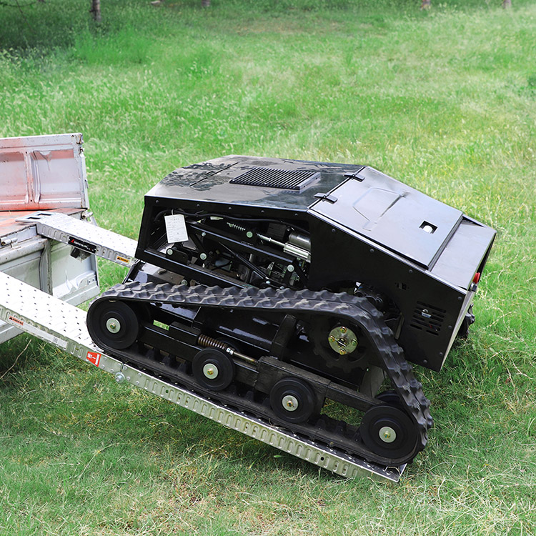 Tondeuse à gazon à essence