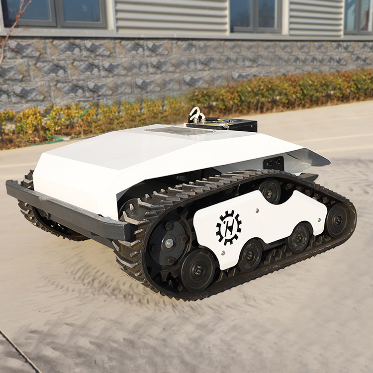 Petites tondeuses autoportées à vendre