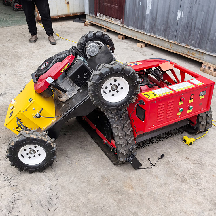 Tondeuse à gazon sur roues