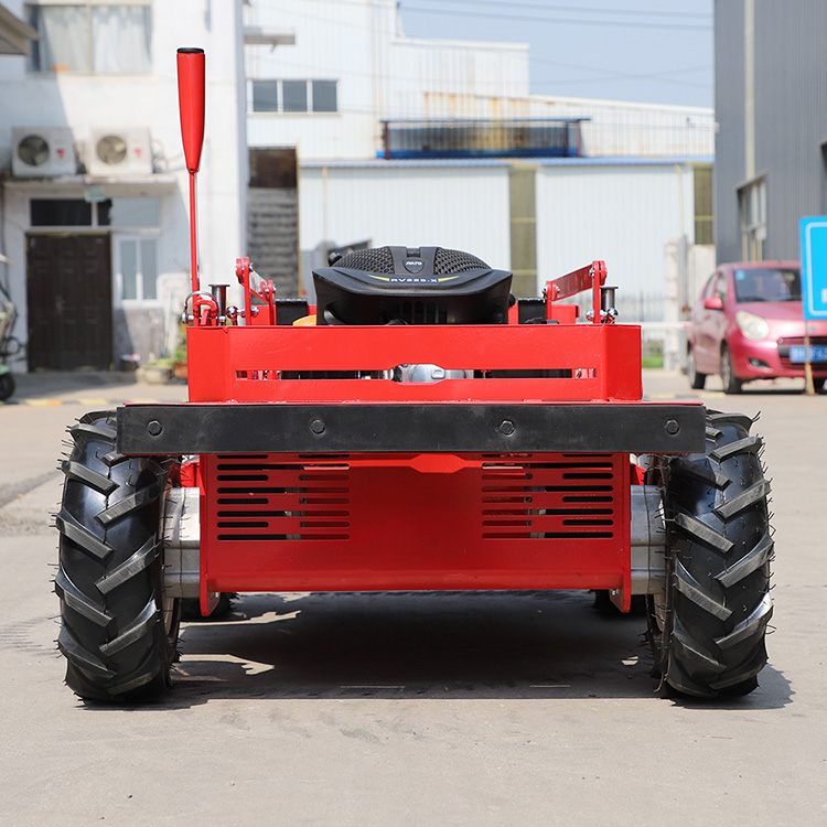 Tondeuses à gazon bon marché