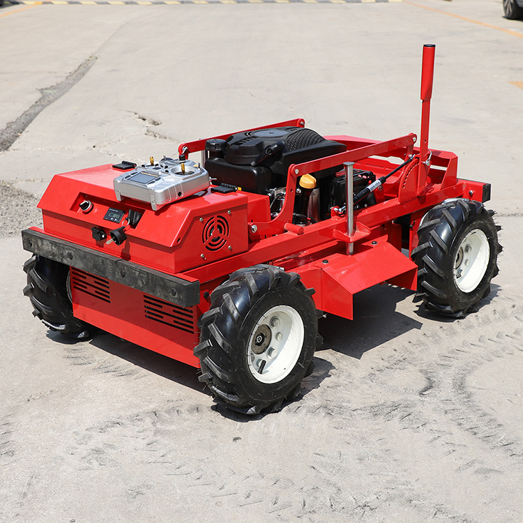 Tondeuses à gazon bon marché