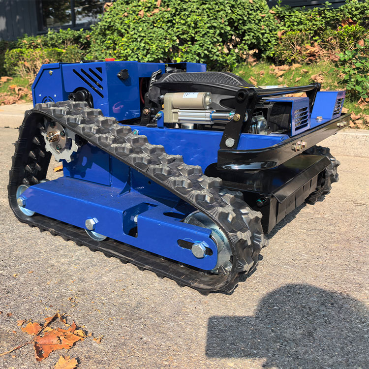 Tondeuse à gazon Greenworks