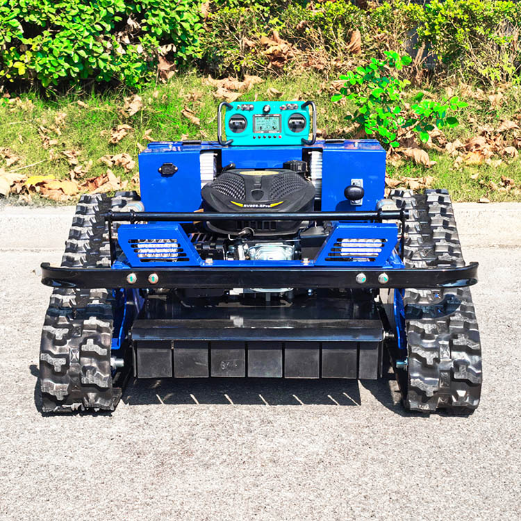 Tondeuse à gazon à essence