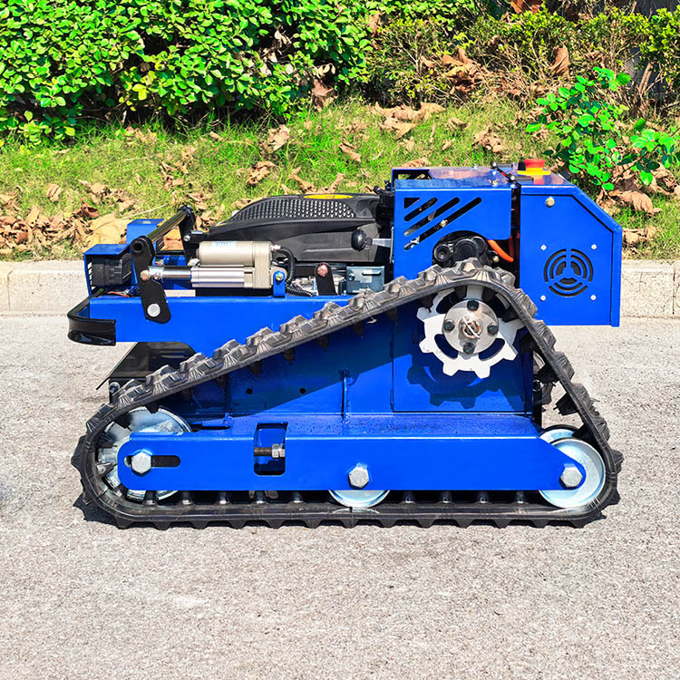 Tondeuse à gazon à essence