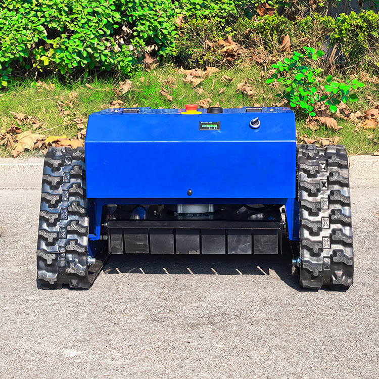 Tondeuse à gazon à essence