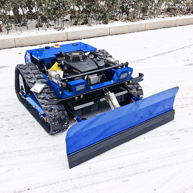 Petite tondeuse à gazon