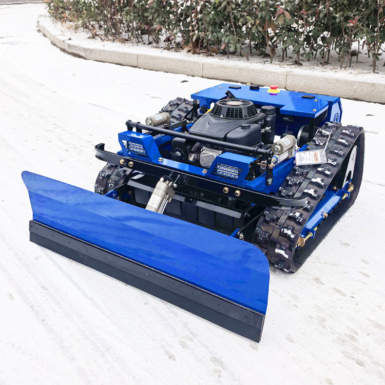 Petite tondeuse à gazon