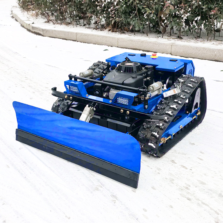 Petite tondeuse à gazon