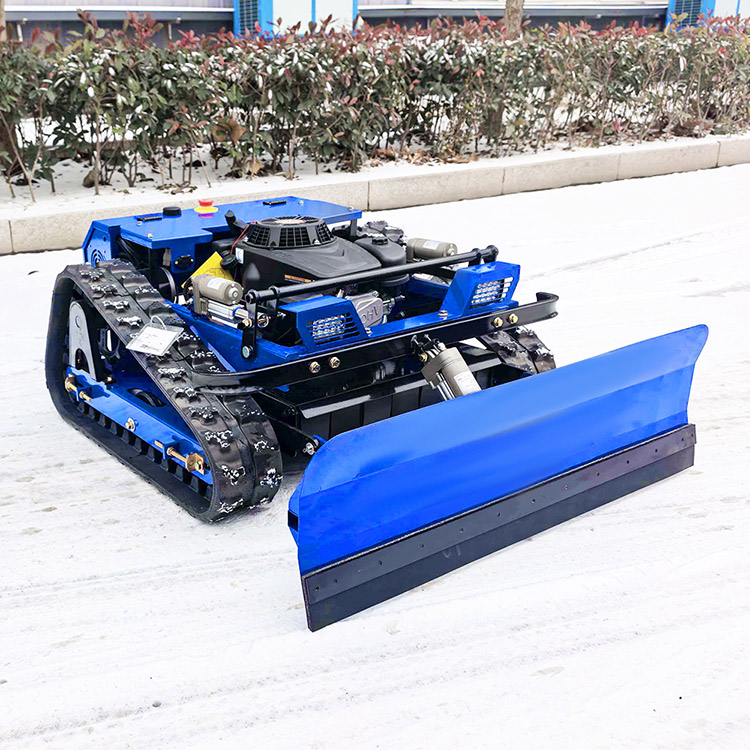 Petite tondeuse à gazon