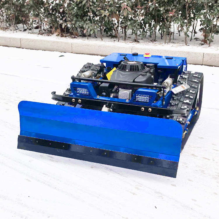 Petite tondeuse à gazon