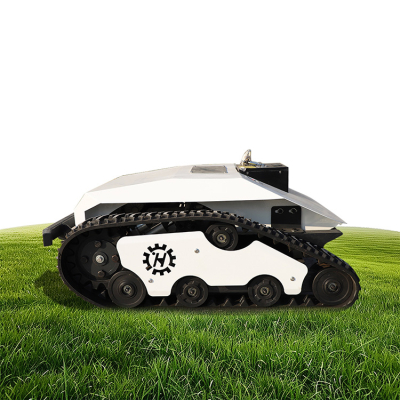 Petites tondeuses autoportées à vendre