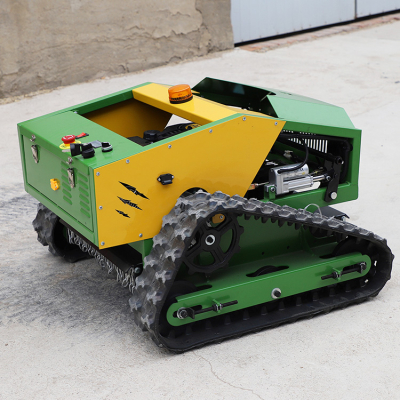 Tondeuse à gazon robotisée