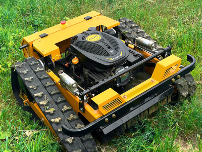 Mon majordome intelligent : nouvelle tondeuse à gazon en ligne