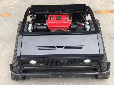 Tondeuse à gazon LM800