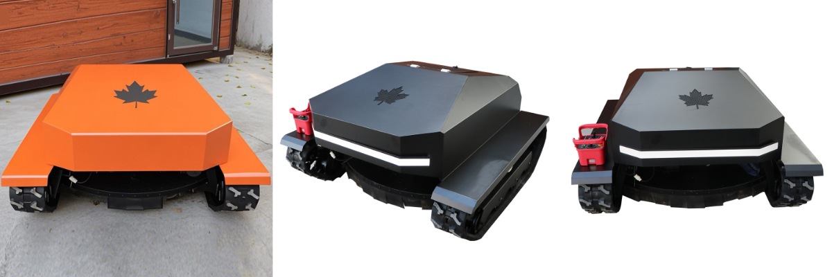 Tondeuse à gazon polyvalente.jpg Tondeuse à gazon polyvalente.jpg