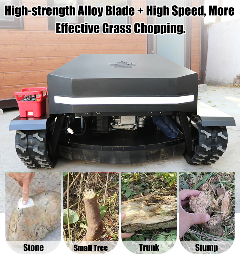 Tondeuse à gazon polyvalente.jpg Tondeuse à gazon polyvalente.jpg