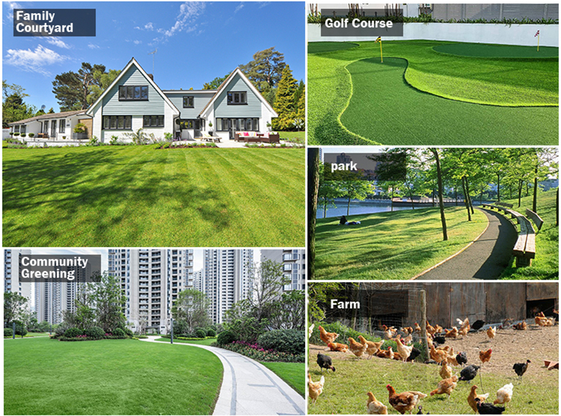 Tondeuse à gazon autopropulsée.jpg