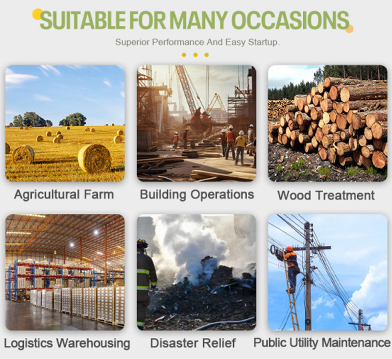 Chargeuse sur pneus compacte à vendre