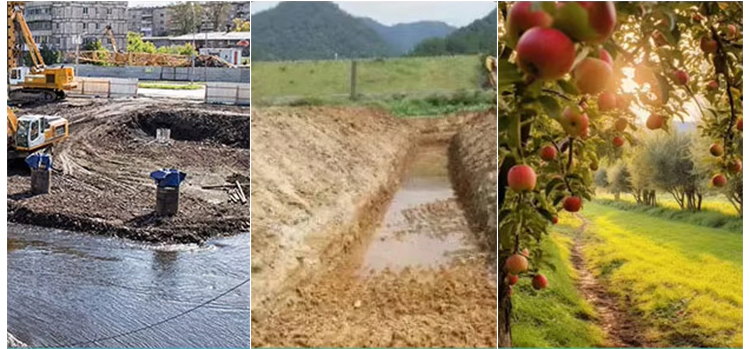 Chargeuse compacte de chantier