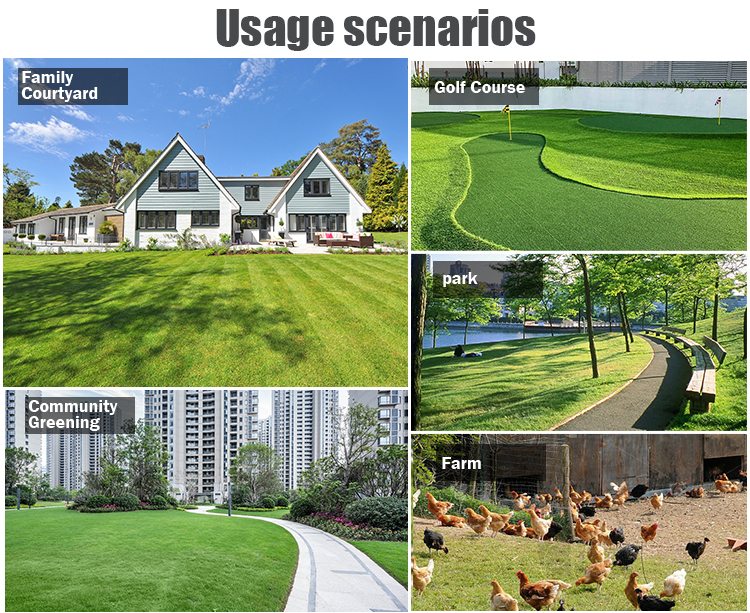 tondeuses à gazon à vendre près de chez moi