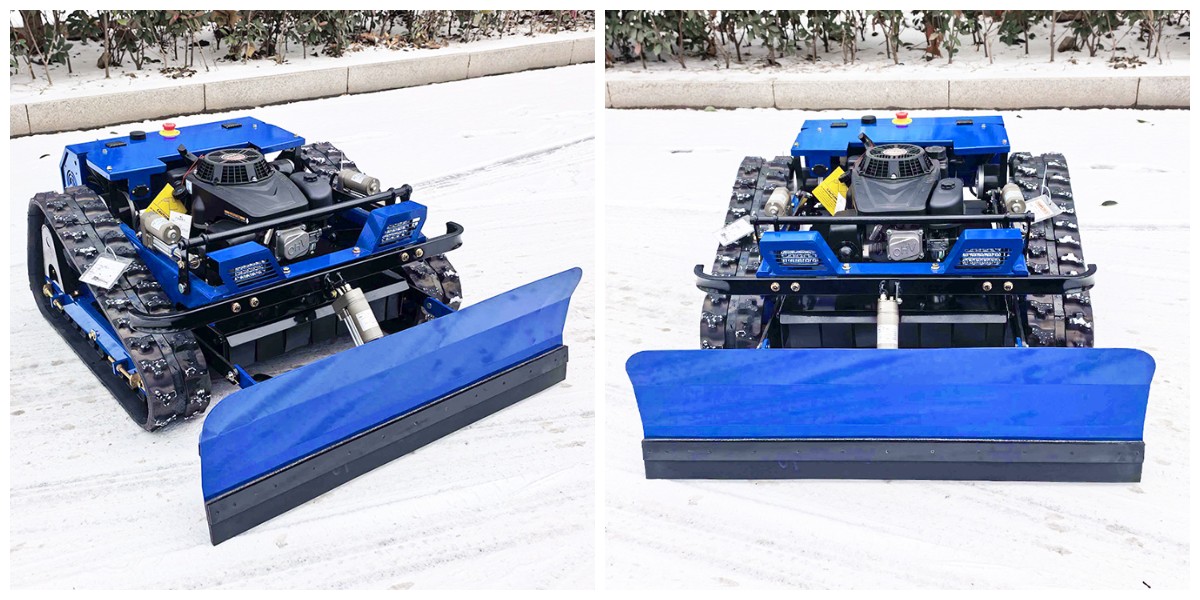 Petite tondeuse à gazon